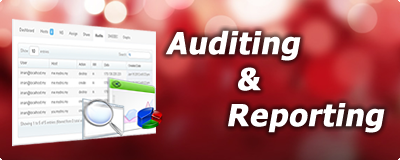 Auditing and reporting